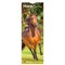 BrownTrout; Horse Lovers | 2027 5.7 x 16.5 Inch (Hanging) Monthly Slimline Wall Calendar; Category:Wall Calendars; Image:2